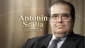 Scalia memory