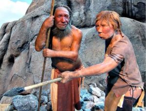 Neanderthals male female