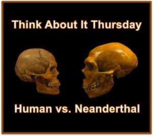 neanderthals skulls