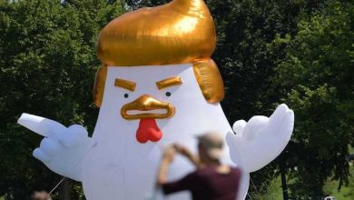 chicken donald