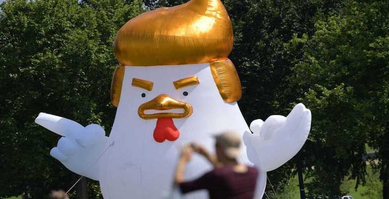 chicken donald