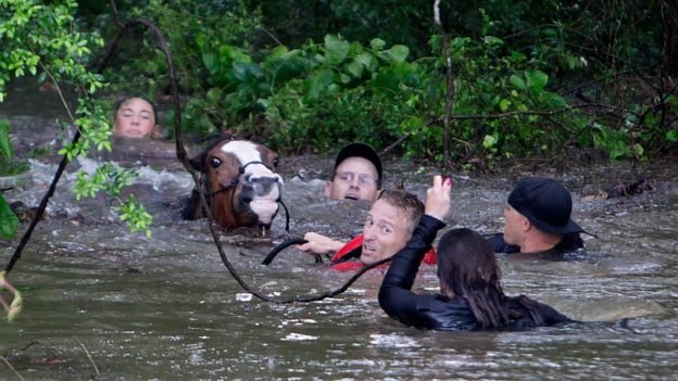 Pray For Houston