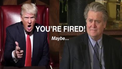 steve bannon