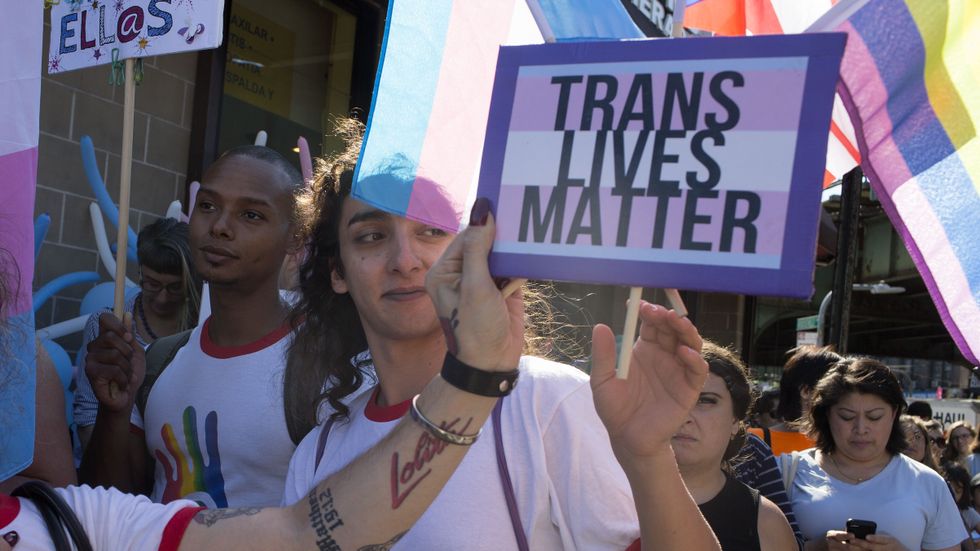 Transgender Americans 