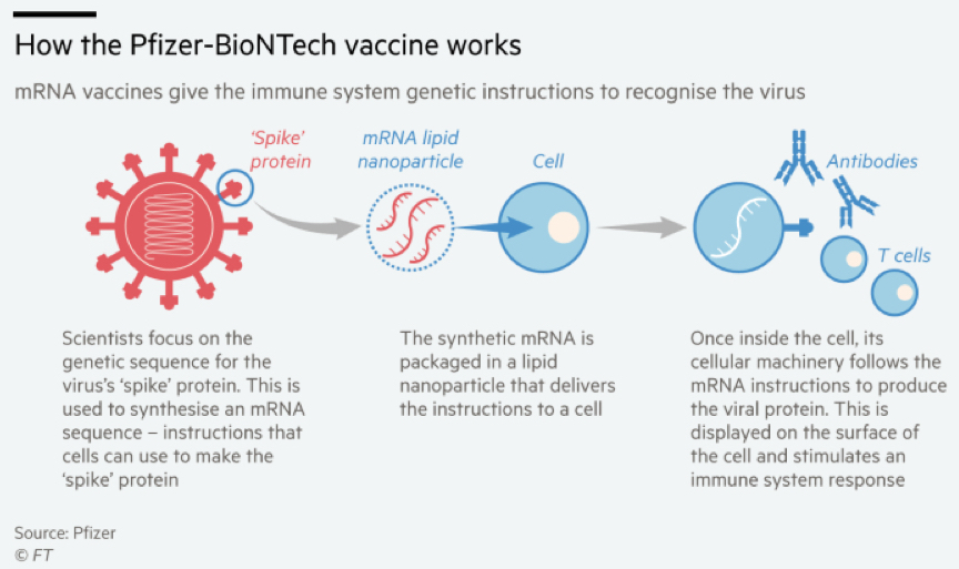 Pfizer COVID Vaccine