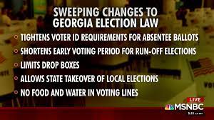 Georgia Election Law