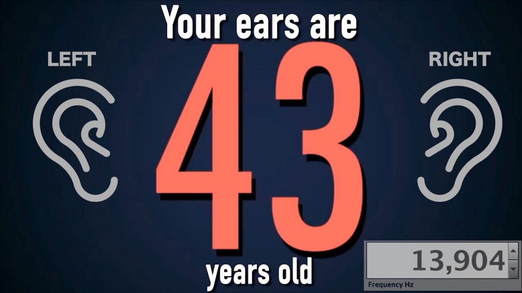 Your Ears 