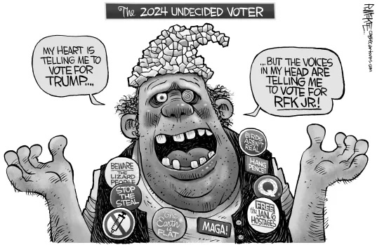 Undecided Voters 